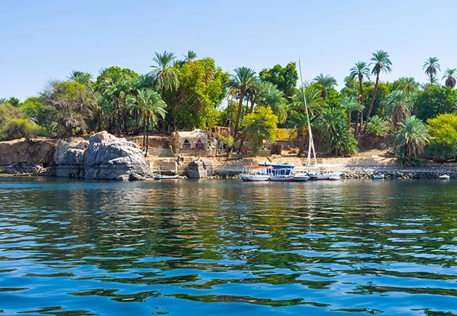 Botanical Garden Private Tour in Aswan