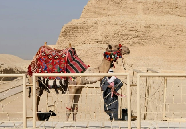 Cairo , Luxor Nile Cruise & Red Sea Tour