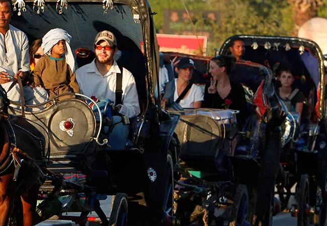 Luxor Horse Carriage Trip