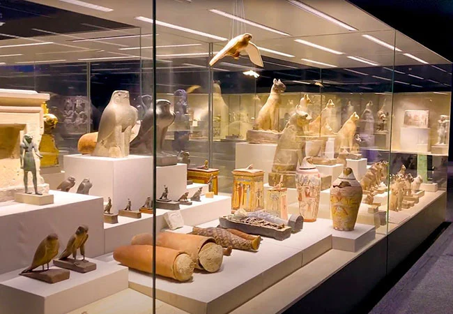 Sharm el-Sheikh Museum Tour