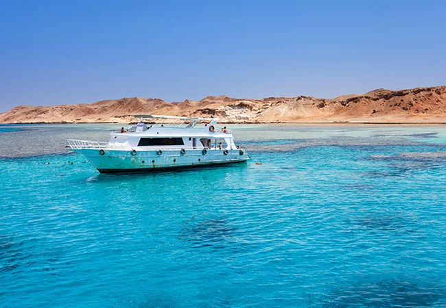 Snorkeling Trip to Tiran Island with Lunch